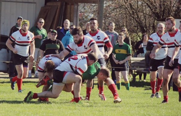 arfc-header2015-16.jpg