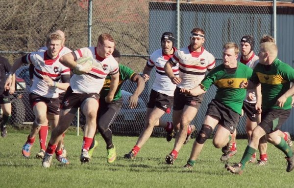 arfc-header2015-50.jpg