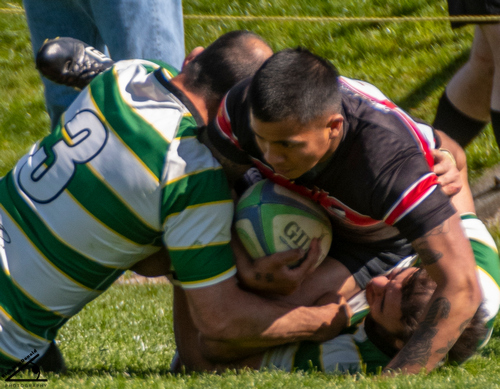 ARFC_vs_Beavers-7509.jpg