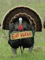 turkey